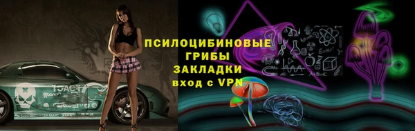PSILOCYBIN Абаза