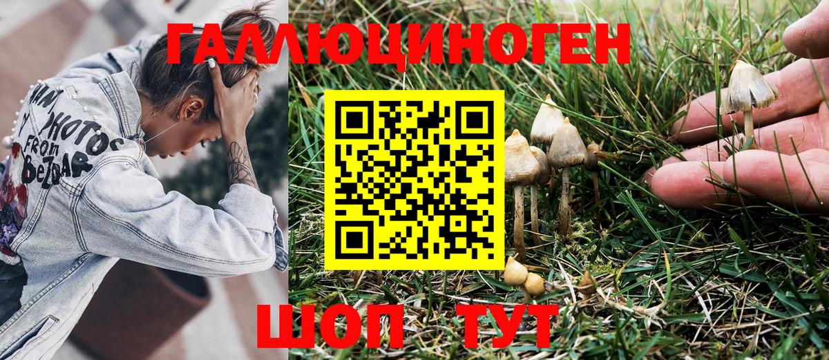 Псилоцибиновые грибы Cubensis Нижневартовск